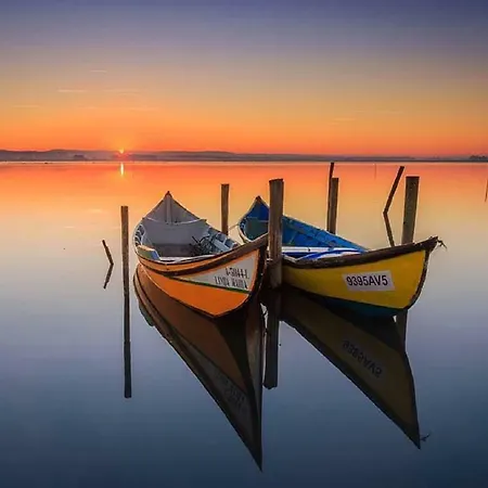 Сasa de vacaciones Casa Da Ponte Amarela Aveiro